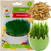 OWIES WIELKANOCNY NASIONA DEKORACJA NA STÓŁ WIELKANOCNY 30G TRAWA DLA KOTA