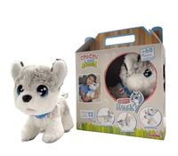 chi chi love happy husky 0026