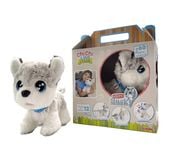 chi chi love happy husky 0026