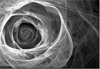 product-compare-58710915