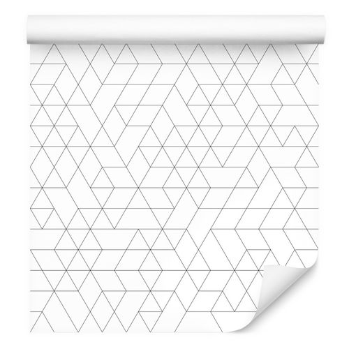 Tapeta Ścienna Do Przedpokoju Wzór GEOMETRYCZNY na Arena.pl