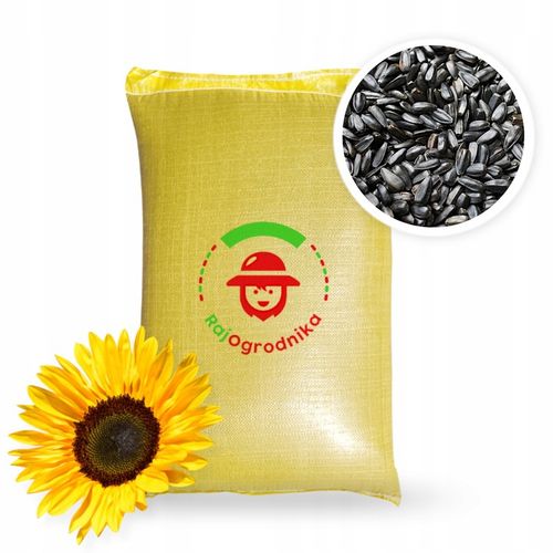 SŁONECZNIK CZARNY PREMIUM Drobny DLA PTAKÓW I NA POPLON ziarno 20KG na Arena.pl