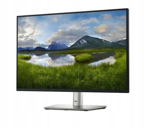 Monitor 24 cale Dell P2425E Full HD IPS 100Hz 5ms PIVOT na Arena.pl