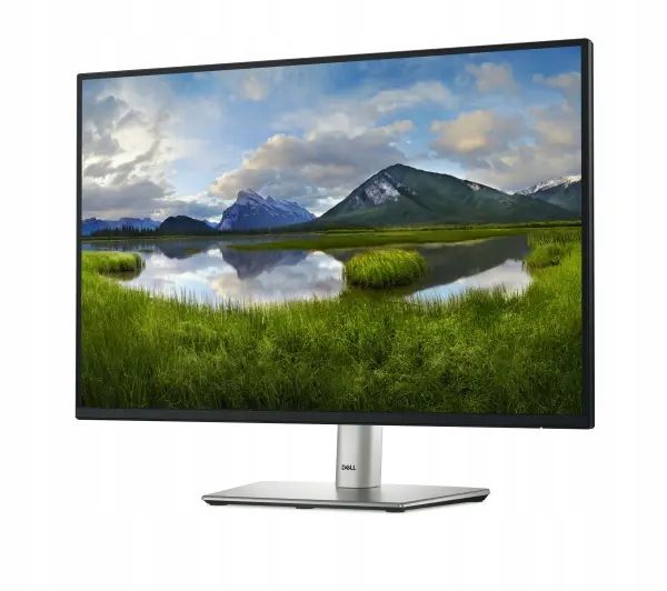Monitor 24 cale Dell P2425E Full HD IPS 100Hz 5ms PIVOT zdjęcie 9