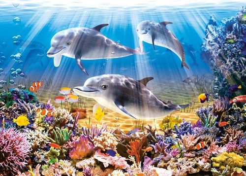 CASTORLAND Puzzle Delfiny 500 Elementów B-52547 na Arena.pl