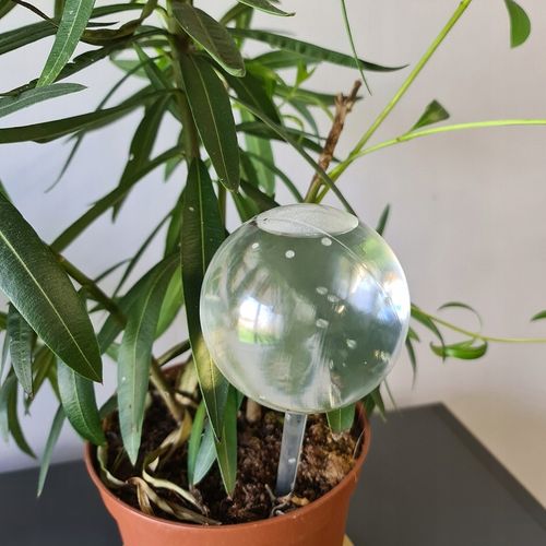 Kule Nawadniające do Kwiatów Nawadniacz Roślin Dozownik Wody Zestaw x 8szt. na Arena.pl