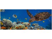 OBRAZ PODWODNA NATURA