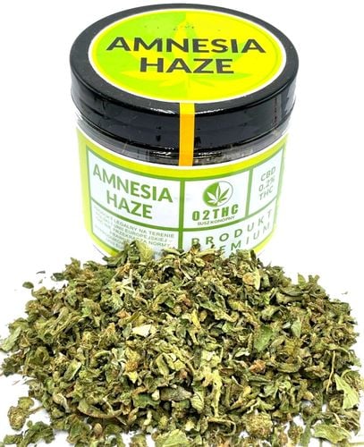 Susz konopny CBD | TRIM AMNESIA HAZE | 100 g na Arena.pl