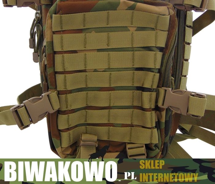 PLECAK US Assault  30 Litrów coyote zdjęcie 2