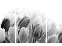 product-compare-58698640