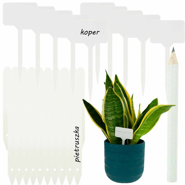 ETYKIETY TABLICZKI DO OPISYWANIA ROŚLIN NASION SADZONEK ZNACZNIKI 31SZ zdjęcie 1