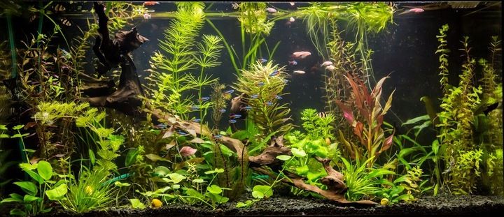Świetlówka LED FULL SPECTRUM 40cm akwarium GROW zdjęcie 9
