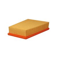 FILTRON filtr powietrza AP185/3 - Renault Megane II, 1.9DCI/2.0