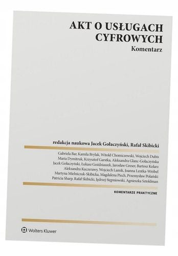 Akt o usługach cyfrowych. Komentarz na Arena.pl