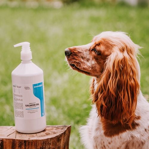 OLEJ SZKOCKI Z ŁOSOSIA DLA PSA I KOTA Salmon Oil Omega 3 Omega 6 1000 ml na Arena.pl