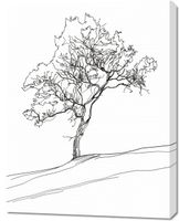 product-compare-59513398