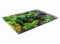 SZKLANA DESKA KUCHENNA 60x20 158c Ogródek