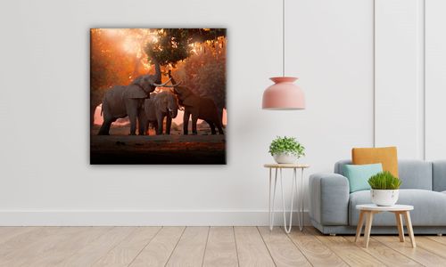OBRAZ NA PŁÓTNIE 092 Słonie 50x50cm na Arena.pl