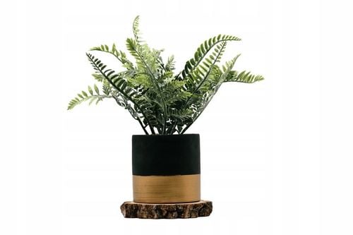 Plastry drewniane, plaster drewna, 10-16 cm na Arena.pl