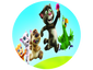thumbnail-1