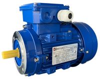 Silnik elektryczny Promotor MS 0,55kW 1400 obr/min. 71 B14
