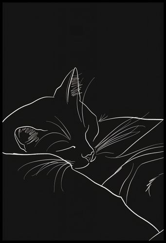 Plakat 67,5x100cm Nocny Spokój na Arena.pl
