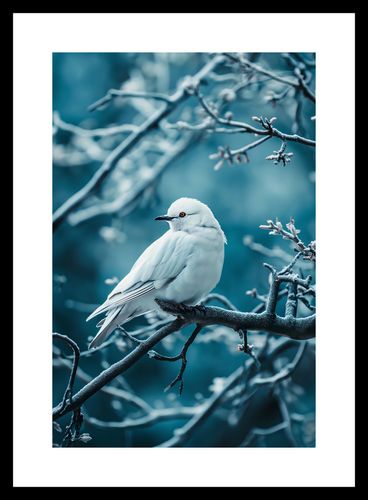 Plakat 20x30cm Perłowy Ptak na Arena.pl