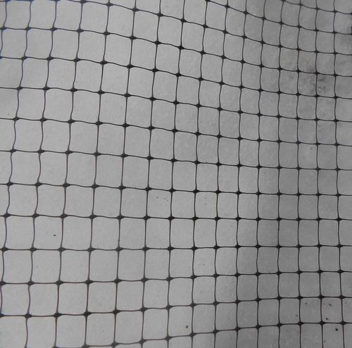 Skuteczna SIATKA NA KRETY 1,5x200m 300m2 oczko 10x10 na Arena.pl