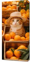 product-compare-59471109