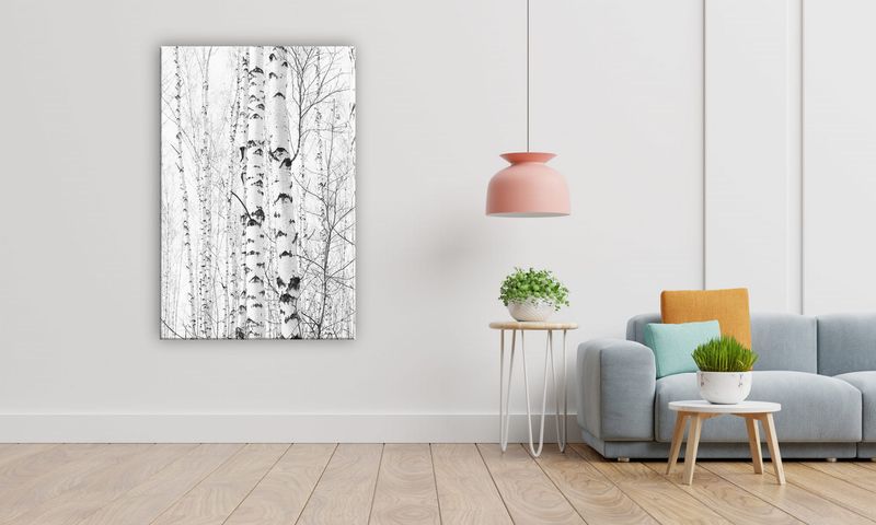 OBRAZ NA PŁÓTNIE 011 Brzozy 40x60cm zdjęcie 5