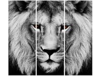 product-compare-58702926