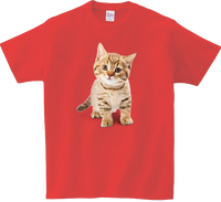 Koszulka T-shirt Kot