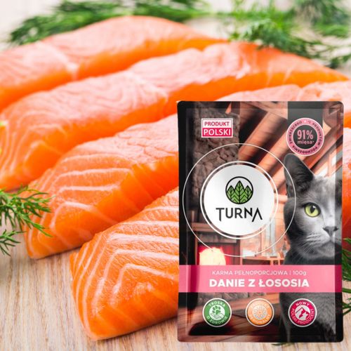 karma mokra dla kota z łososiem turna cats 100g saszetka bez zbóż naturalna na Arena.pl