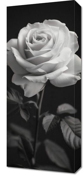 Obraz 30x70cm Płatki Róż zdjęcie 1