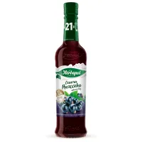 Syrop CZARNA PORZECZKA suplement diety 420ml