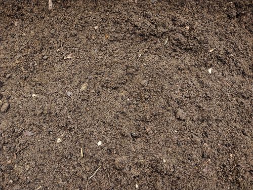 Podłoże dla żółwia greckiego stepowego lądowego Testudo Soil Baby 10 L na Arena.pl