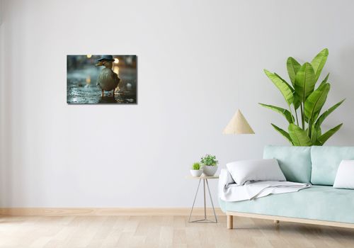 Obraz 60x40cm Kaczka w Kapeluszu na Arena.pl