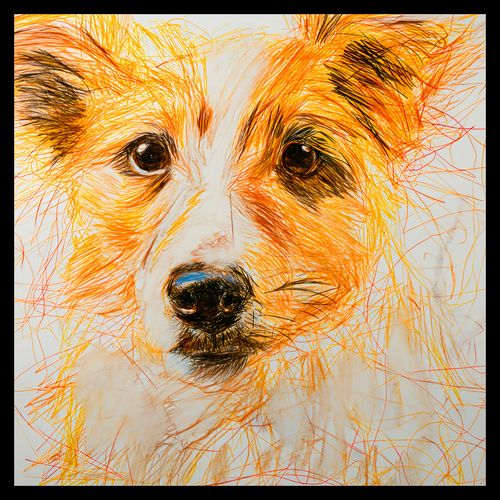 Plakat 50x50cm Uroczy Gość na Arena.pl