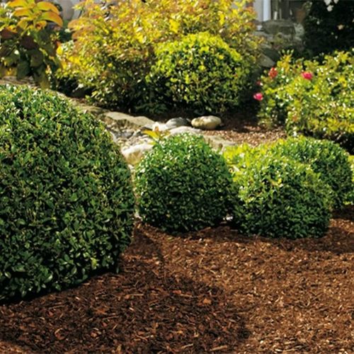 KORA SOSNOWA PRZESIEWANA SORTOWANA Dekoracja Pachnąca Lasem SUPER na Arena.pl