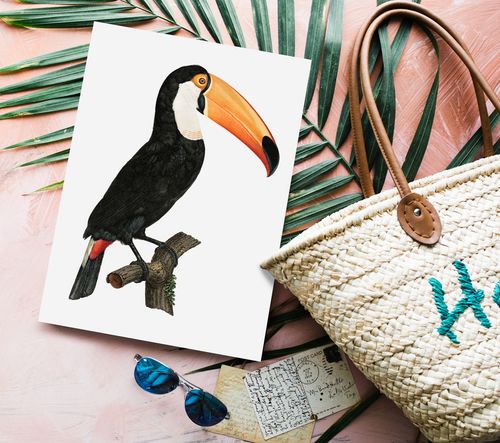 Plakat cyfrowy do wydruku tukan na Arena.pl