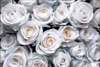 Tło FLAT LAY do fotografii produktowej kulinarnej