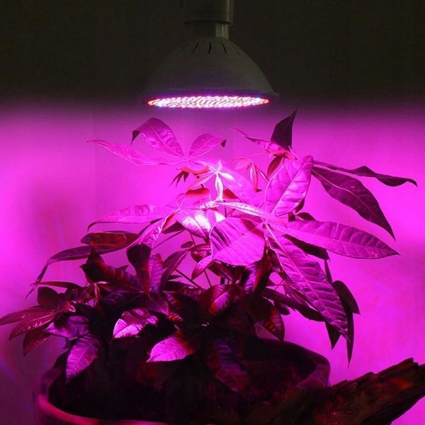 Mocna Żarówka Led E27 Grow 200Led Do Uprawy Roślin zdjęcie 2
