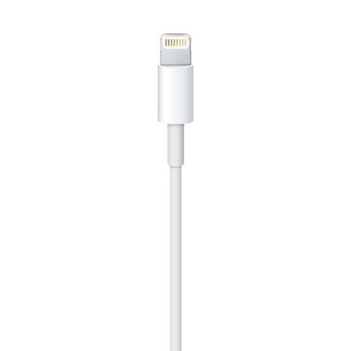 Apple Lightning to USB Cable (1m) Bulk na Arena.pl