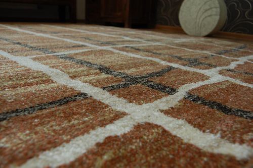 Dywan SHADOW 9359 rust / cream 80x150 cm na Arena.pl