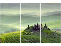 product-compare-58676263