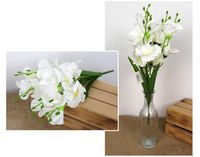 bukiet MIECZYK wys. 43 cm 20 kwiatów (7-8,5 cm) i 2 pąki BIAŁY WT-109A