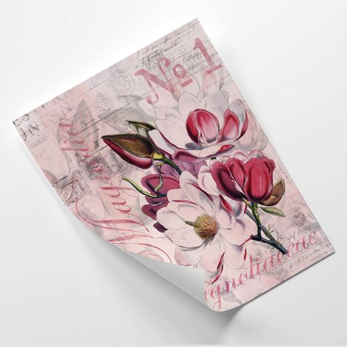 Plakat, Magnolia 50x70 na Arena.pl