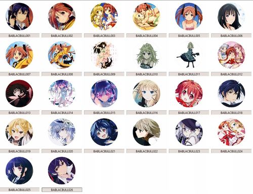 Przypinka Black Bullet DO WYBORU na Arena.pl