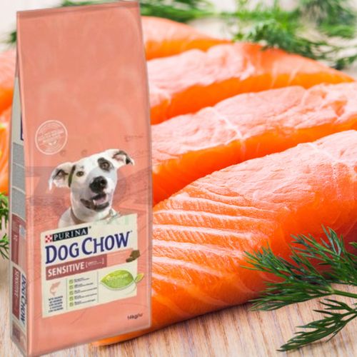 sucha karma psa purina dog chow łosoś z prebiotykiem 14kg + 2,5kg gratis na Arena.pl