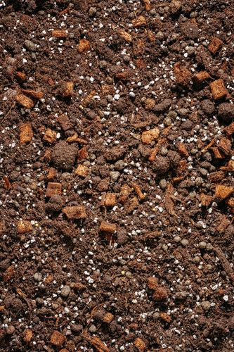 Ziemia do HOYI, PEPEROMII, ZAMIOCULCAS 3L bigos, podłoże HOI, na Arena.pl